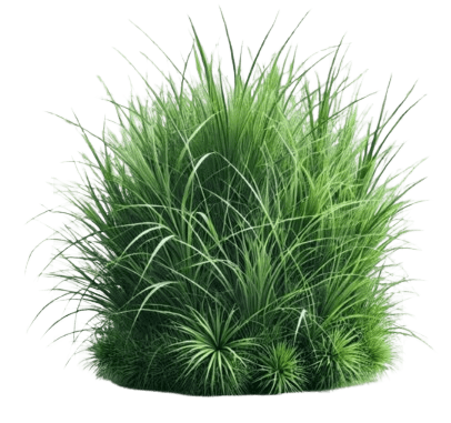 -20260308-195216-removebg-preview