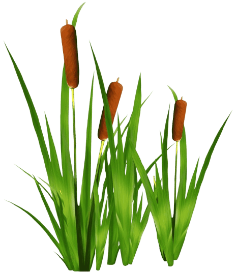 -20260308-195851-removebg-preview