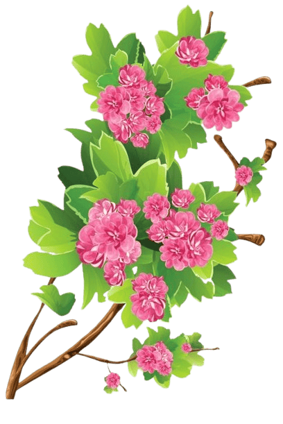 -20260308-220838-removebg-preview (1)