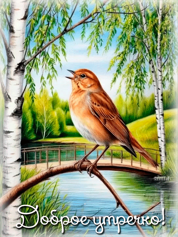 .ДОБРОЕ УТРЕЧКО!