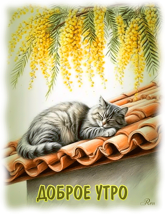 Доброе утро