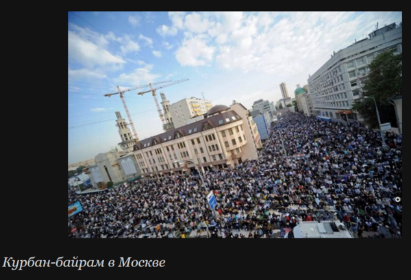 result_Скриншот-20260329-102847