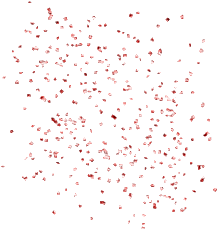 9kynnmk69drmt0cxgv5a20m6em_preview_0-ezremove (1)