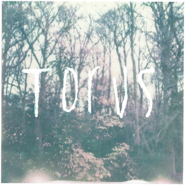 T0rus