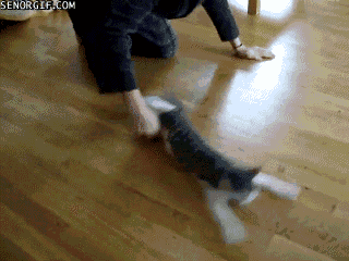 funny-gifs-take-a-spin