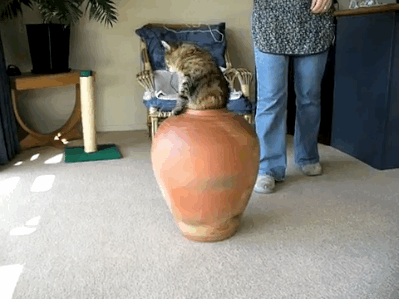 FGCatVase