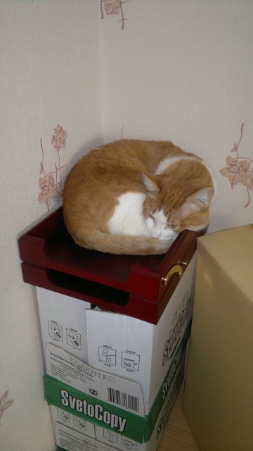 Работа не волк, в лес не убежит