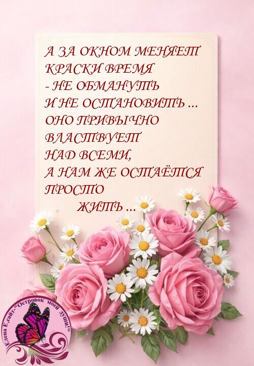 oie_OEWFXsbTNgK7