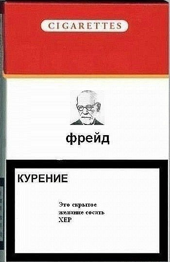 Кури