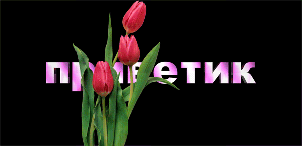 Безимени-3ghbd