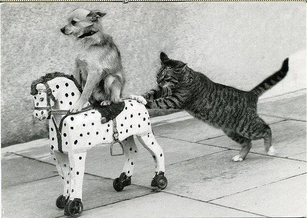 катись