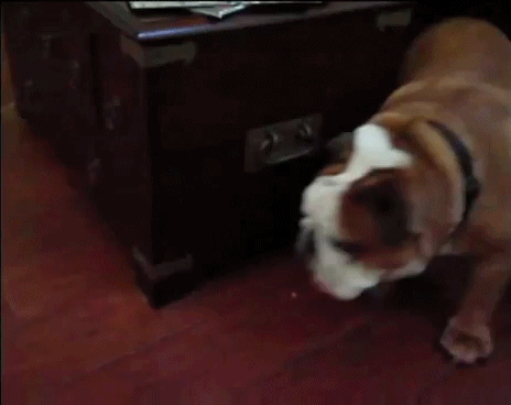 Вечный двигатель