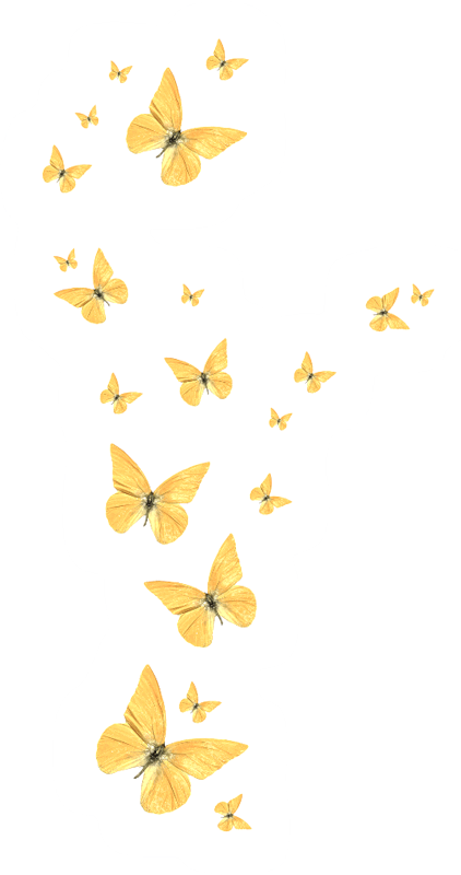 pngwing.com (1) (1)