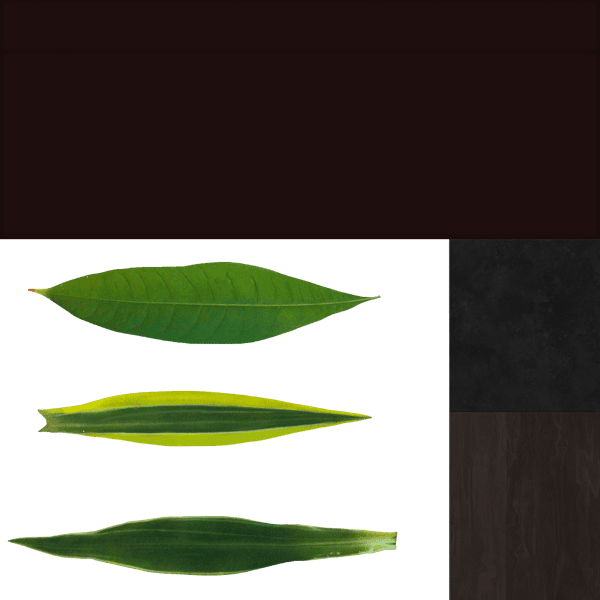 plant_04_M.изменён