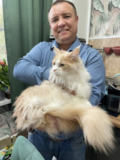 Моисей Абрамович