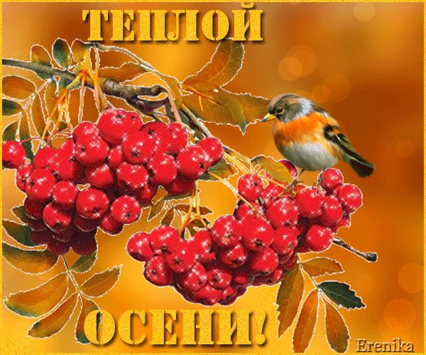 Теплой осени!