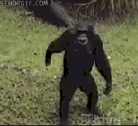 funny-gifs-give-it-up