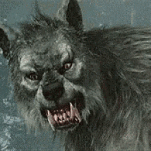 Wolf_Werewolf