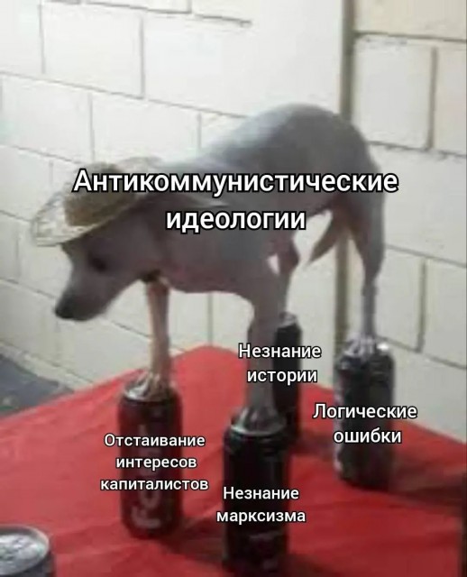 Антикоммунизм