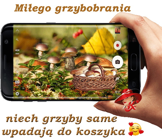 grzybobranie