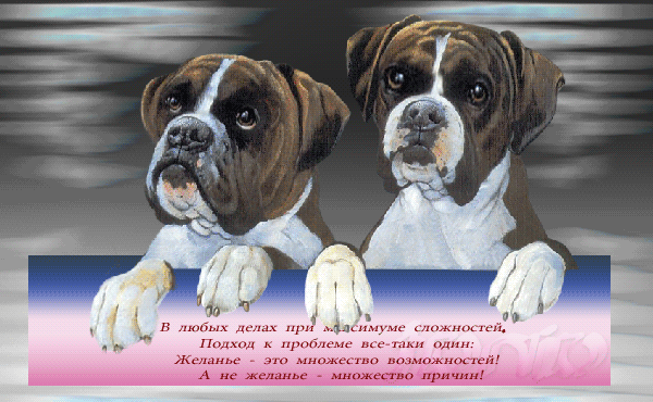 Без-имени-1ghb