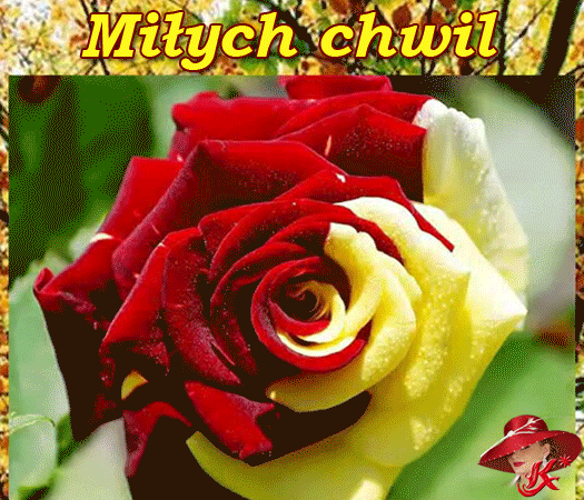 miych-chwil