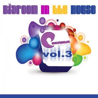 VA - Big Room In The House Volume 3