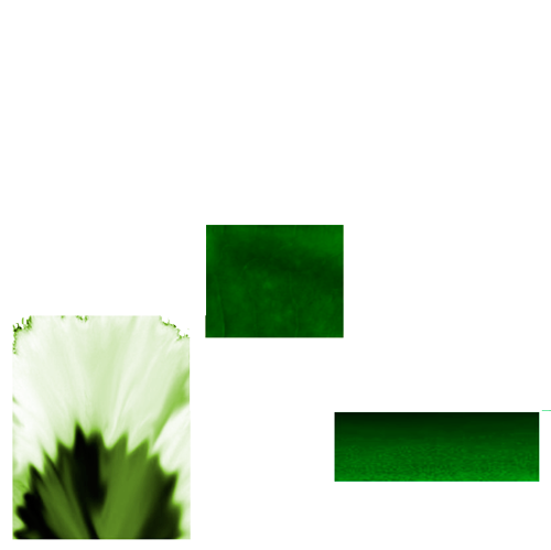flower_06_b-ЦВЕТЫ--БЕЗ-ЛИСТЬЕВ