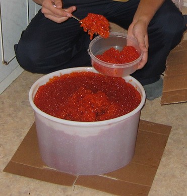 ikra