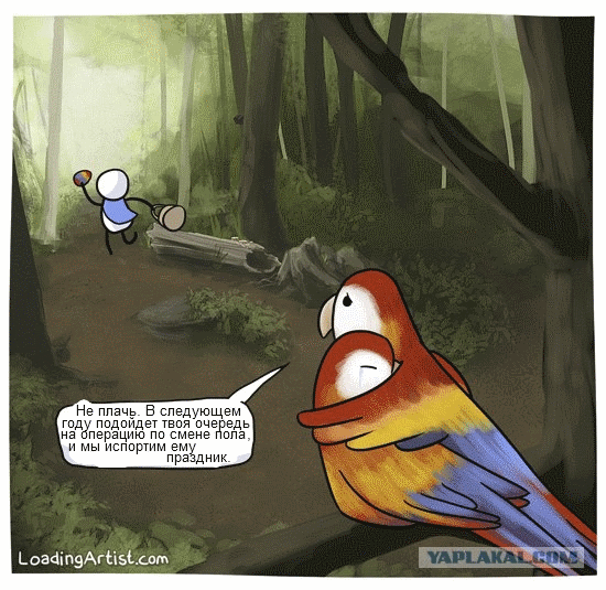 птицы операция11