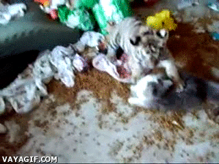 d8e2cf7c979257c33af1848