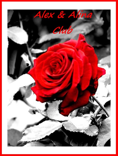 алекс и алина