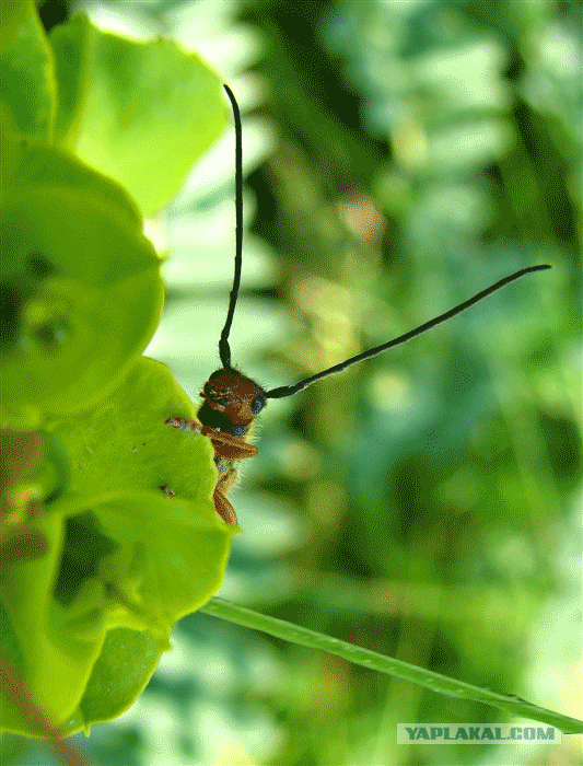 post-3-12526827383780-1