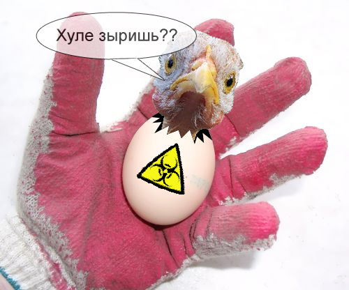 zypa in egg