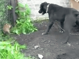 0_73897_35ea6f9_orig