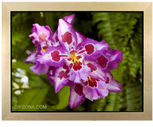 0_5d1f1_959e7fe8_orig