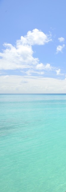 346838_(www.GdeFon.ru)