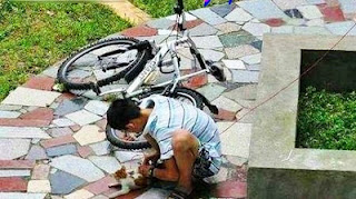 Убийца кошки