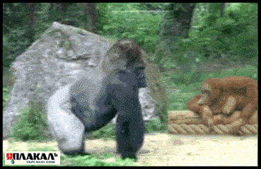 Gorillaz_yapfiles.ru