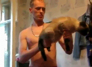 funny-animal-gifs-akat-47