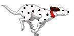 09