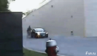 1337068216_14052012-gifki-gifki-smeshnye-gifki-gifki-kote_1745203990