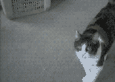 555oie_17214258b71v6rTt