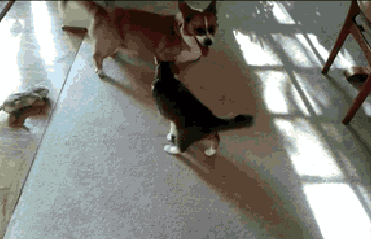 oie_19142132hZs6fuZ8