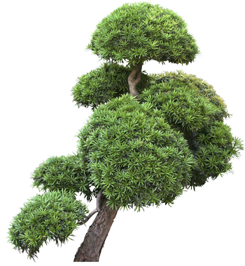 0_551d6_9fc6042_XXXL