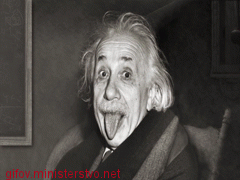 anim