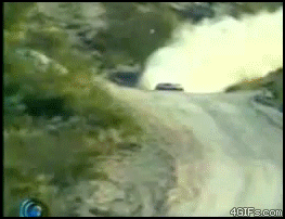 Полетели кони бля!