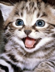 telpics_ru_297781372_185x240[1]