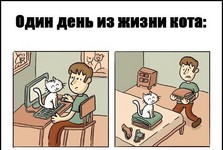 воф3