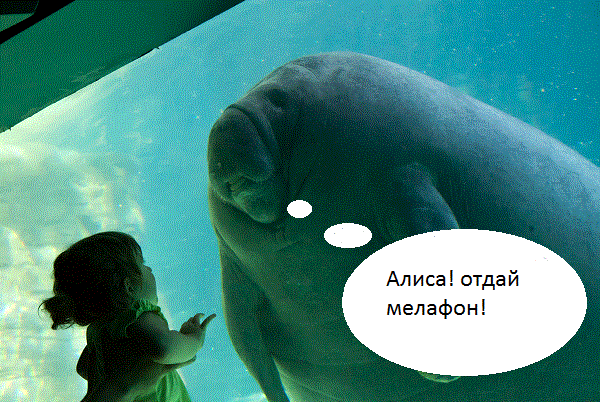 post-3-13384532345608